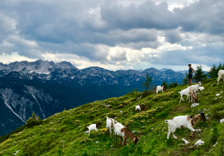 Cycle Around Julian Alps - Slovenia