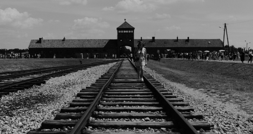 From Krakow: Auschwitz-Birkenau Tour with Private Transport