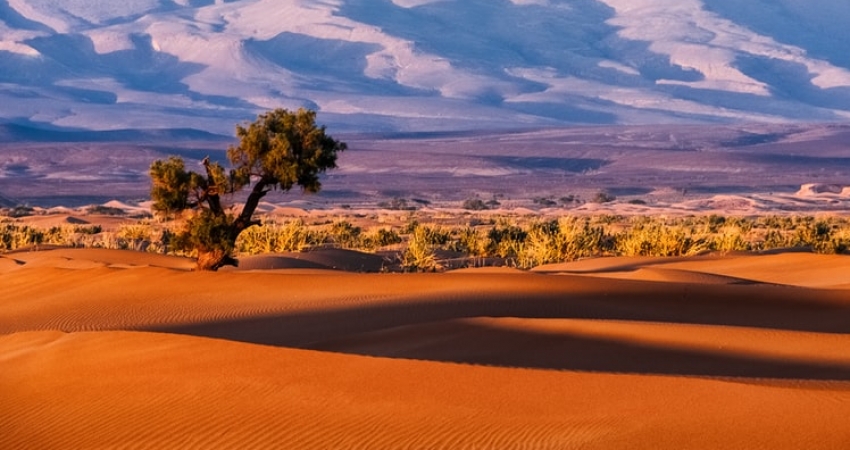High Atlas Mountains & Sahara Adventure.