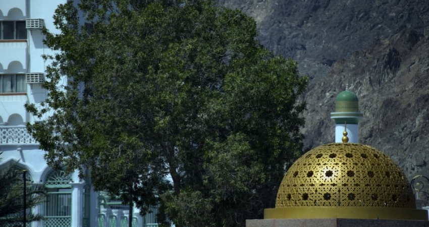 Tour Jasmin | 3 Days Package