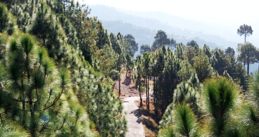 Murree Shogran Tour Package
