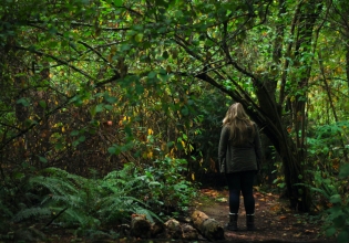 Volunteer in the Rainforest of Panama