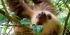 Rescue Center Costa Rica Volunteer Program