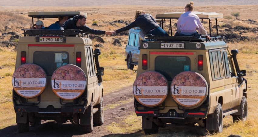 4 Days Tanzania Lodge Safari