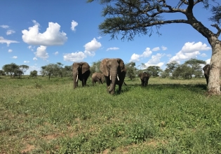 UGANDA BIG FIVE SAFARIS 5 DAYS