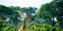 Most enjoyable Uganda safari 14 days