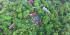 Sadhana Forest India Reforestation and Sustainable Living