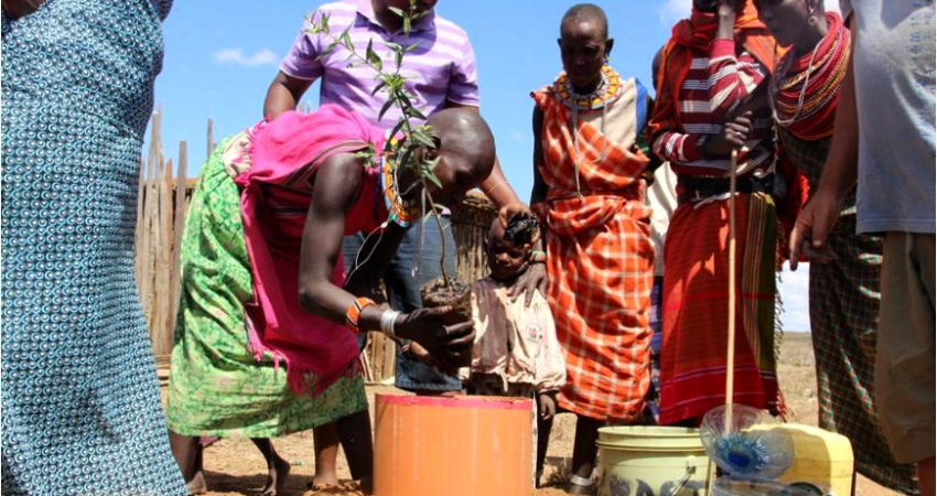 Sadhana Forest Kenya Reforestation and Food Security