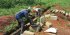 Help with Environmental Protection & Conservation in Ghana