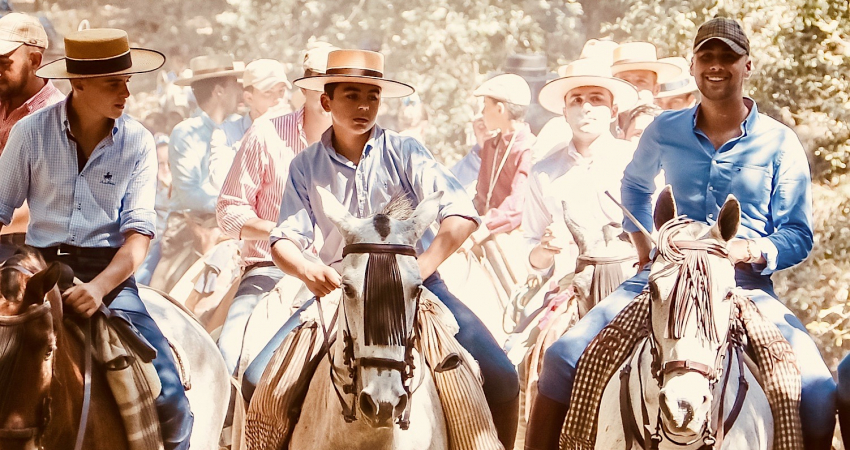Discover Andalusia on horseback