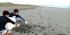 Sea turtle conservation & Environmental volunteering