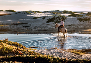 Horseback riding tour (1h)