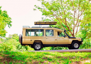 2 days Tanzania private tour- luxury safari Tanzania