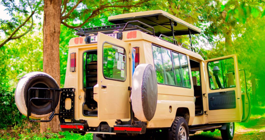 Tanzania Safari Camping -3 days Ngorongoro - Serengeti safari