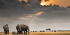 Maasai Mara Classic