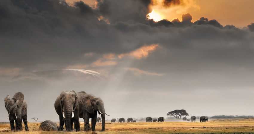 Maasai Mara Classic