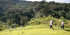 8 Days Great Apes Uganda safari