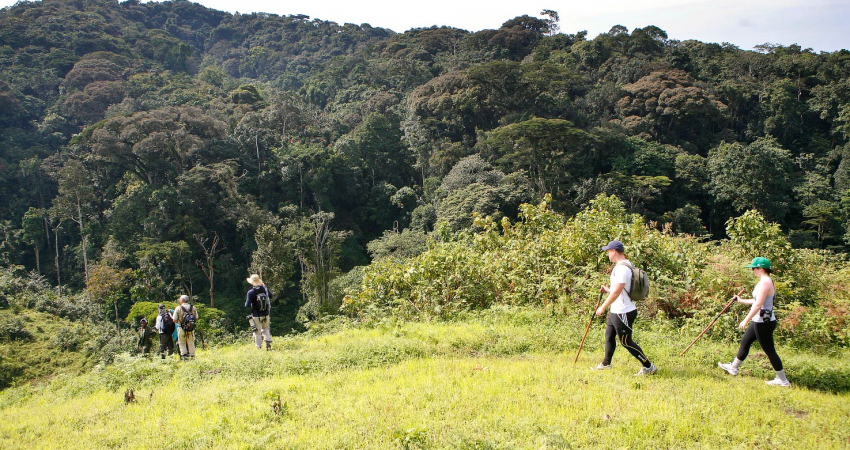 8 Days Great Apes Uganda safari