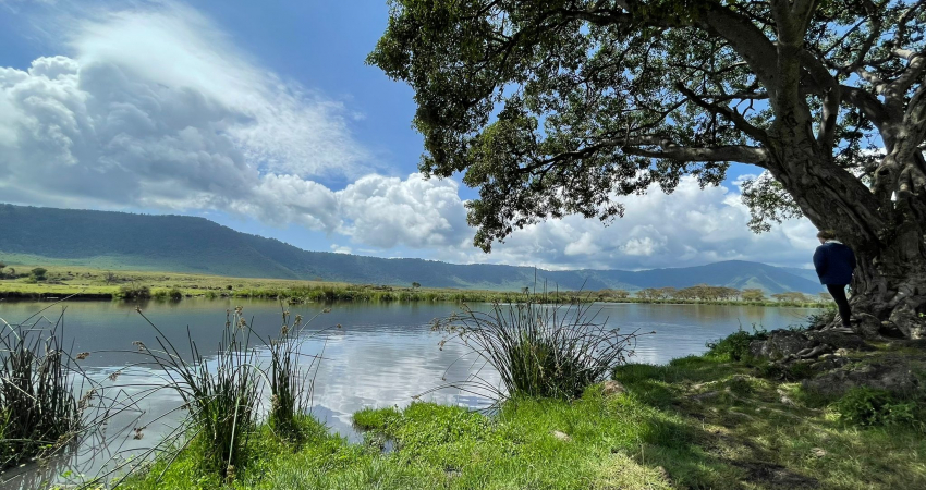 5 DAYS EPIC TANZANIA SAFARI