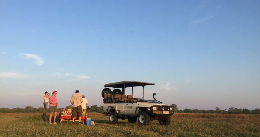 SHORT AND SWEET SAFARI