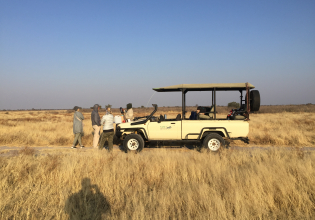 Moremi Game Reserve Day Trip