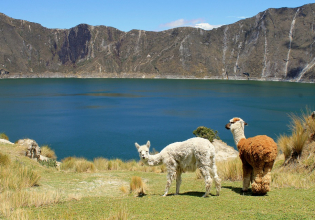QUILOTOA DAILY TOUR