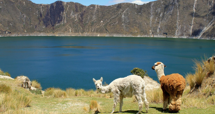 QUILOTOA DAILY TOUR