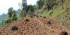 Agricultural Trek in Nepal