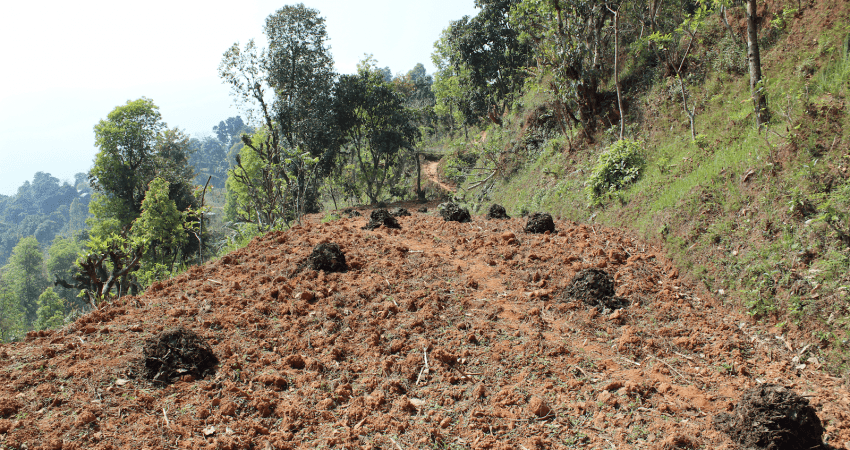 Agricultural Trek in Nepal