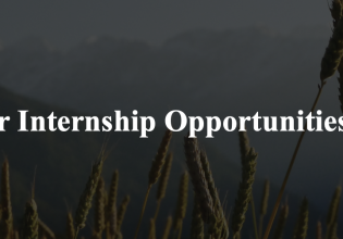 Virtual | Remote Internship in Nepal