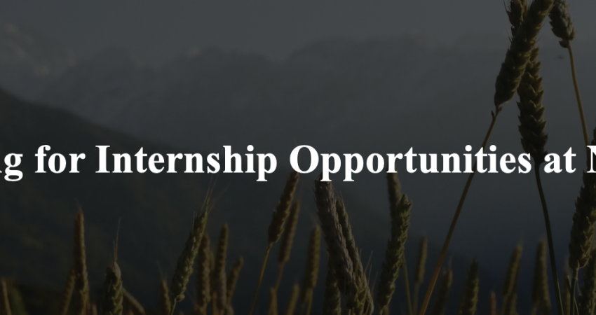 Virtual | Remote Internship in Nepal