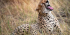 5 DAYS: MIDRANGE GROUP JOINING HIGHLIGHT OF NORTHERN CIRCUIT SAFARI.