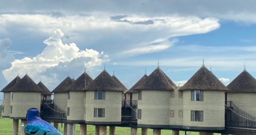 3-day Safari Tsavo East & Tsavo West National Parks
