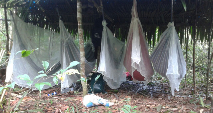 Amazon Brazil Jungle Tours- Fantastic Amazon jungle and river tours