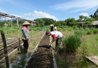 Eco Farming