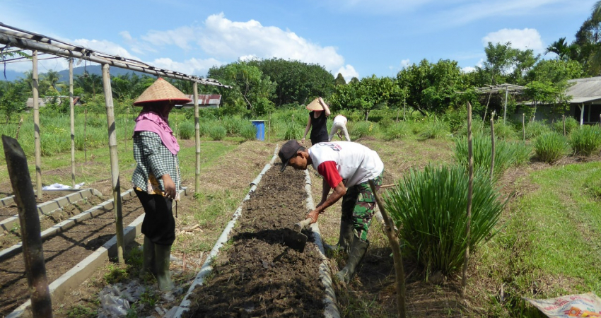 Eco Farming