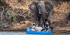 10 Day Lower Zambezi Canoeing and Kafue National Park Safari