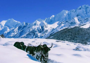 Langtang Trek
