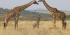 6 days Kenya Luxury Safari