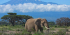 3 Days 2 Nights Amboseli National Park – Kenya Safari Package