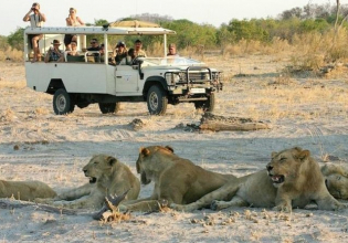 CHOBE FULL DAY TRIP IN BOTSWANA