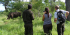 Game drive and Rhino Walk safari