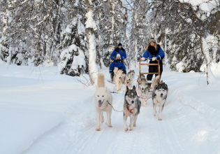 Snowy Trails Husky Safari (10 Km)