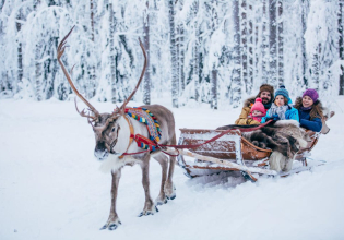 Forest Trail Reindeer Safari