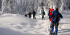 Lapland Winter Experience