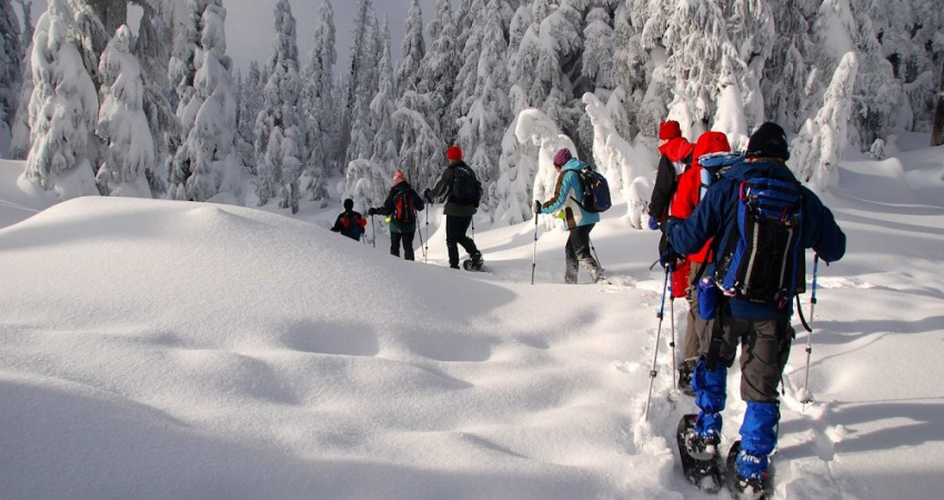 Lapland Winter Experience