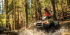 Delightful Quadbike Ride around the Arctic Circle