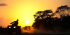 Midnight Sun, Atv Ride During The Golden Hour