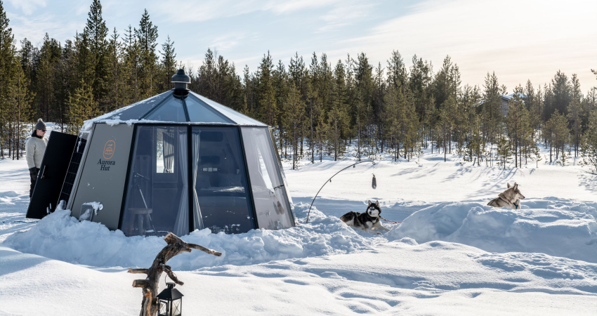 Snowmobiles in Arctic Circle Wilderness with Glass Igloo