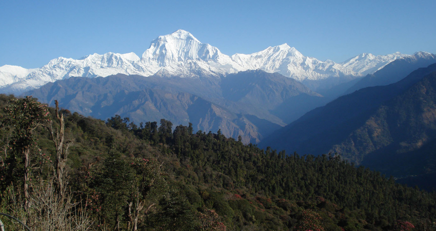 Annapurna Base Camp Trek